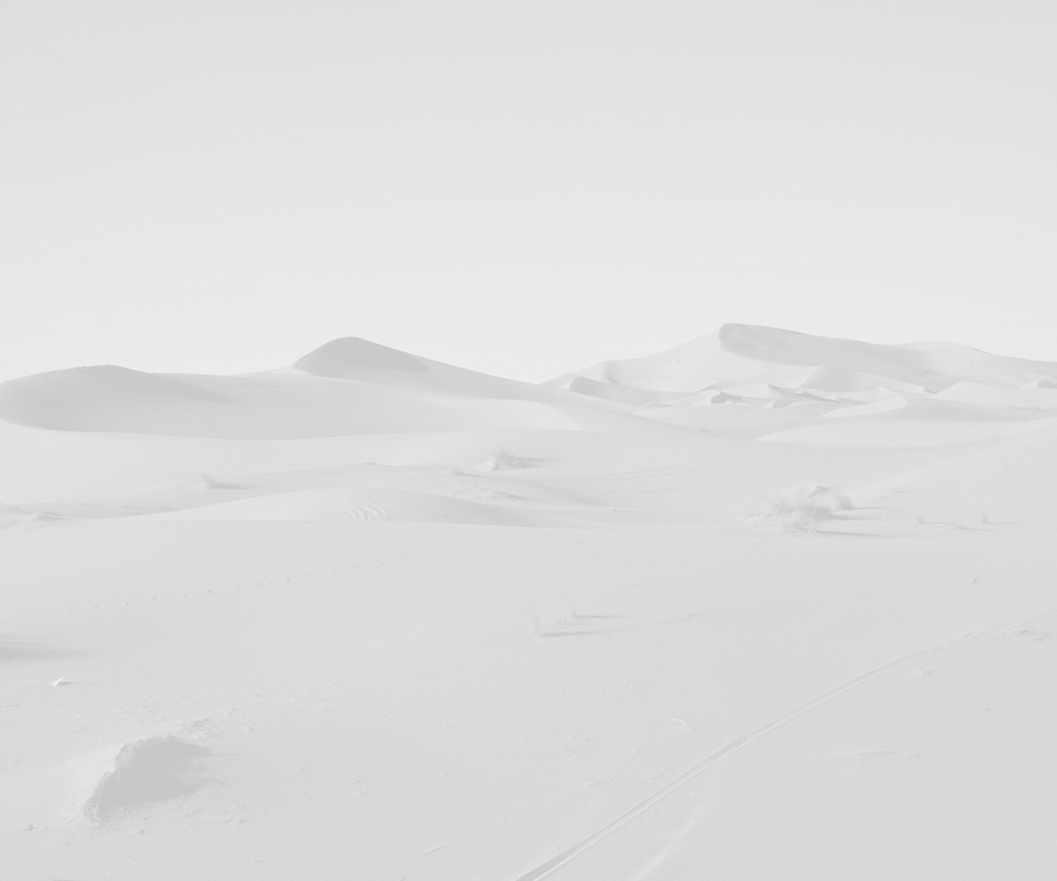 Elle Macpherson, 2015